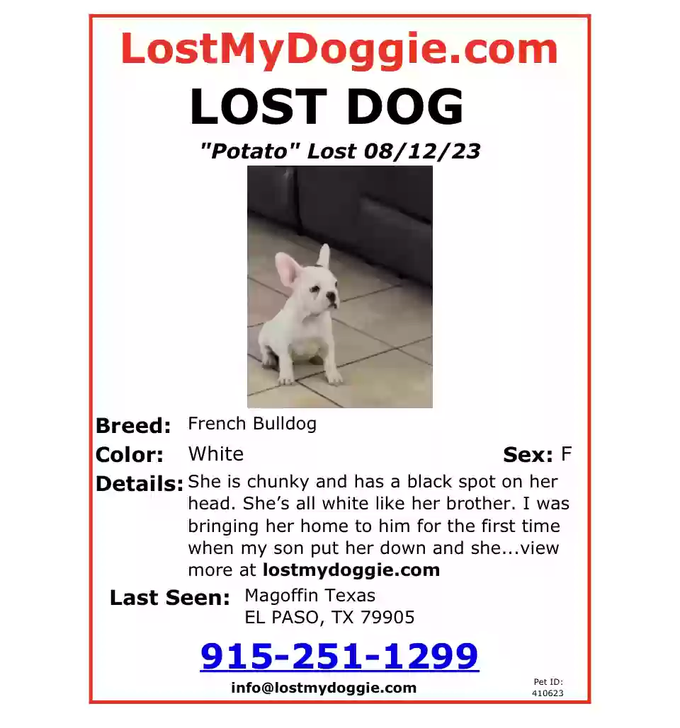 /lostandfound/images/lnfpets/original/165655_photo.webp