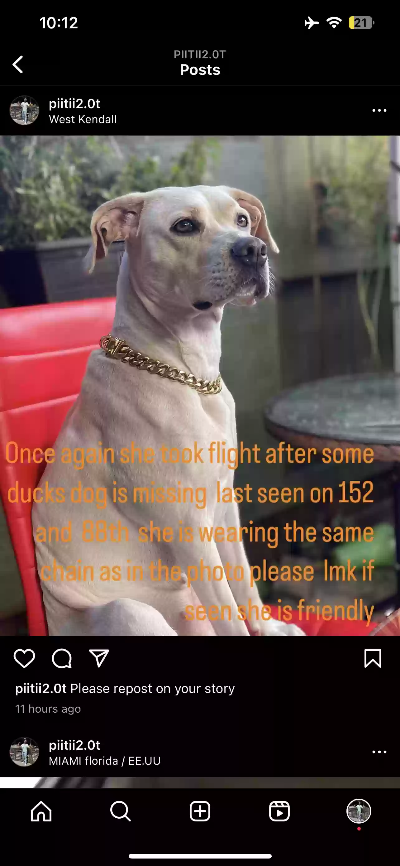 /lostandfound/images/lnfpets/original/170282_photo.webp
