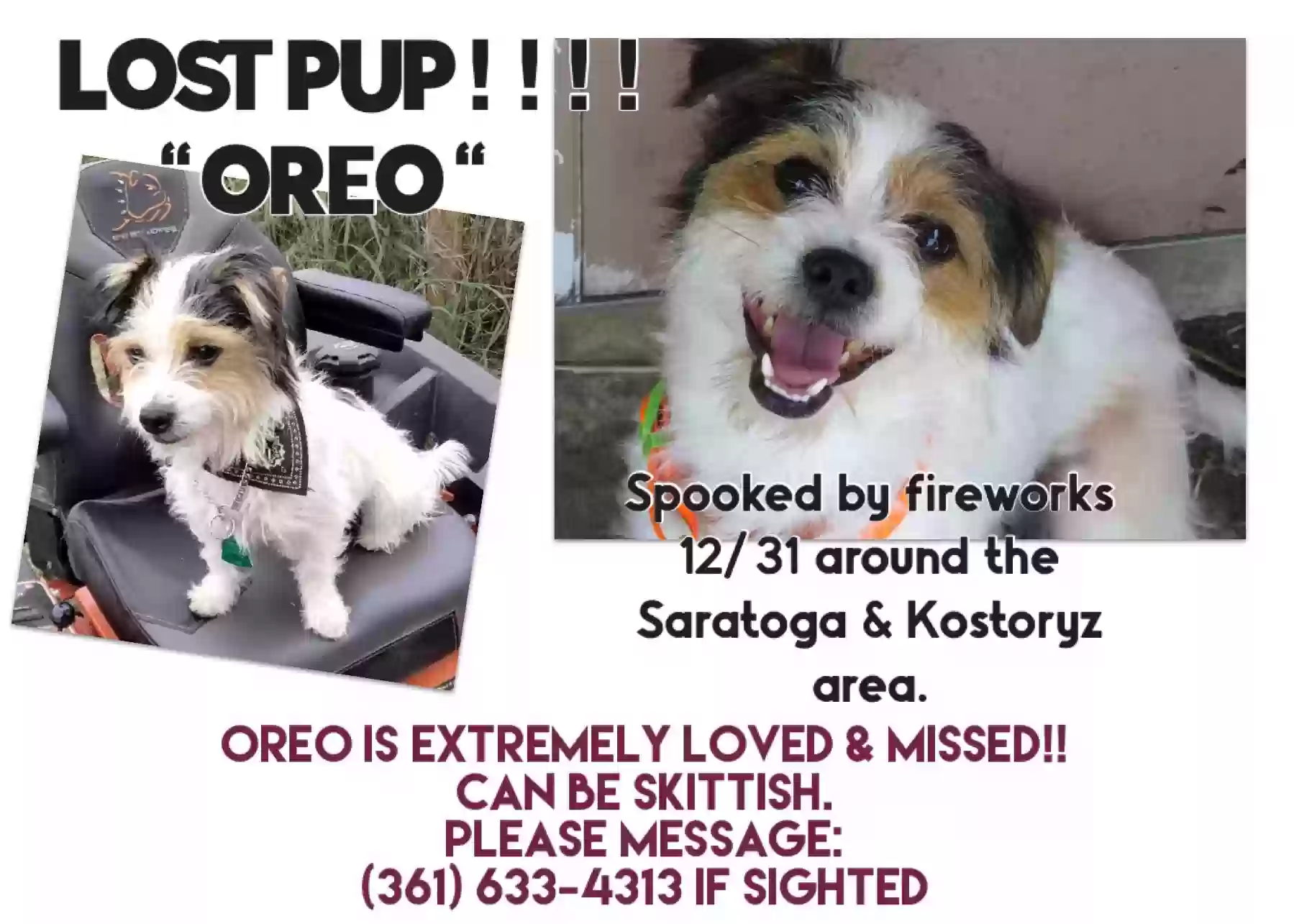 /lostandfound/images/lnfpets/original/171227_photo.webp
