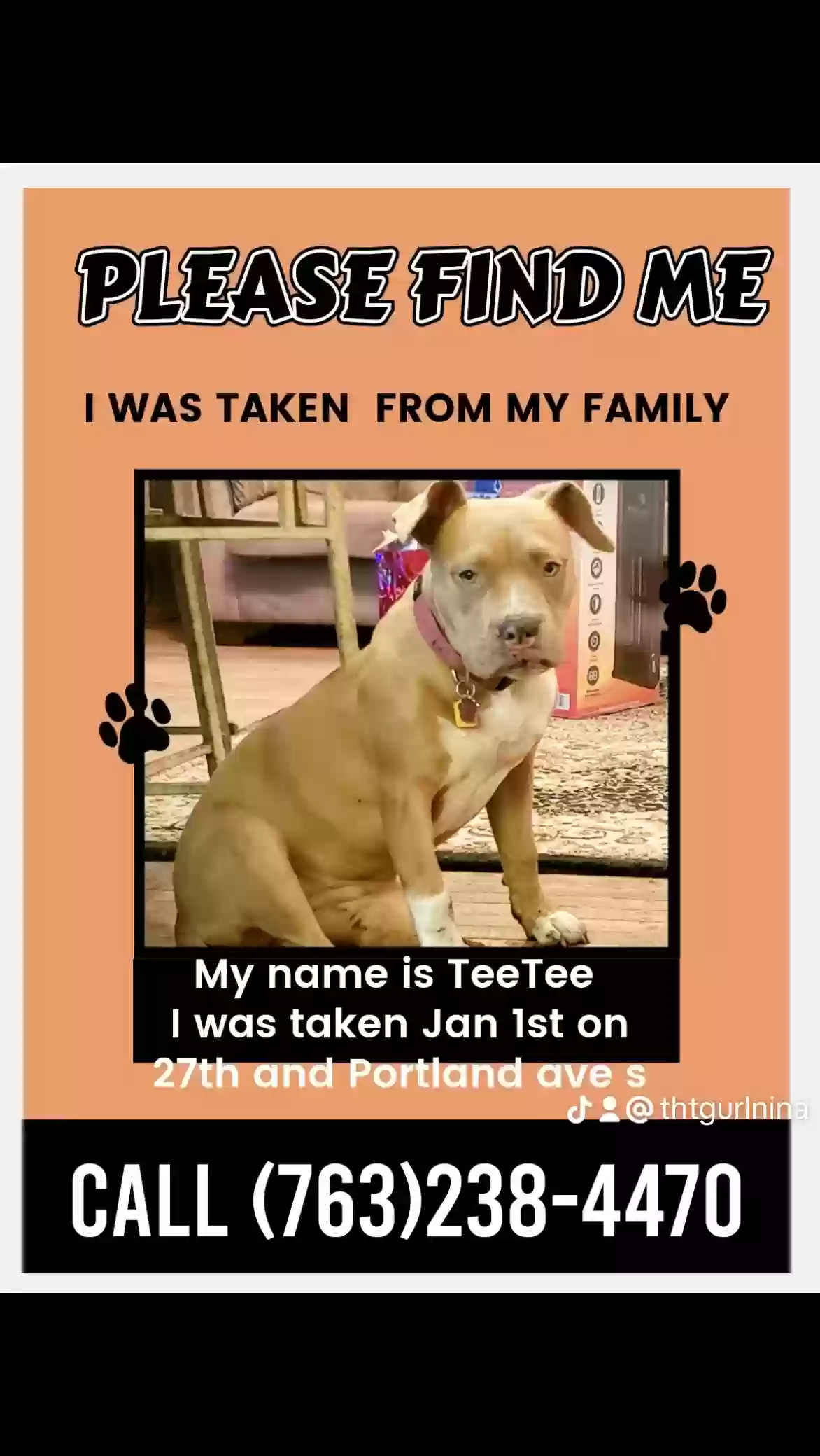 /lostandfound/images/lnfpets/original/171673_photo.webp