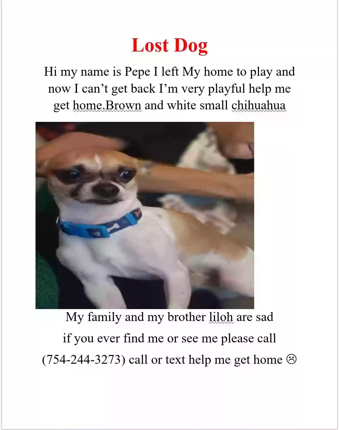 /lostandfound/images/lnfpets/original/173292_photo.webp