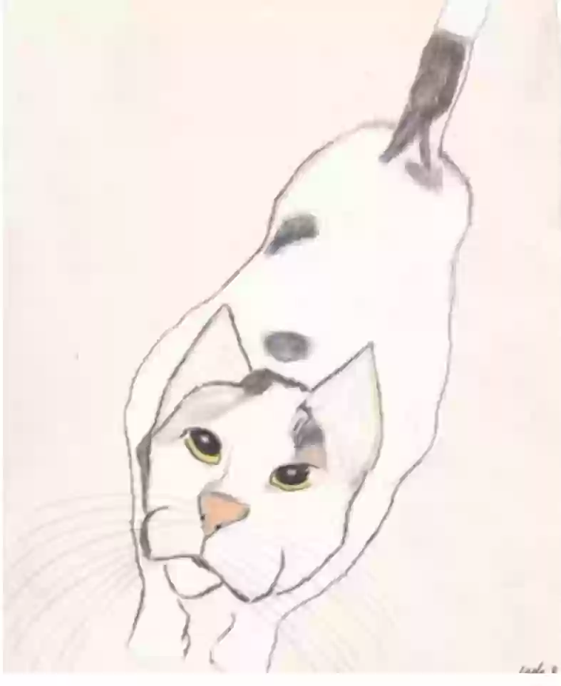 /lostandfound/images/lnfpets/original/176680_photo.webp