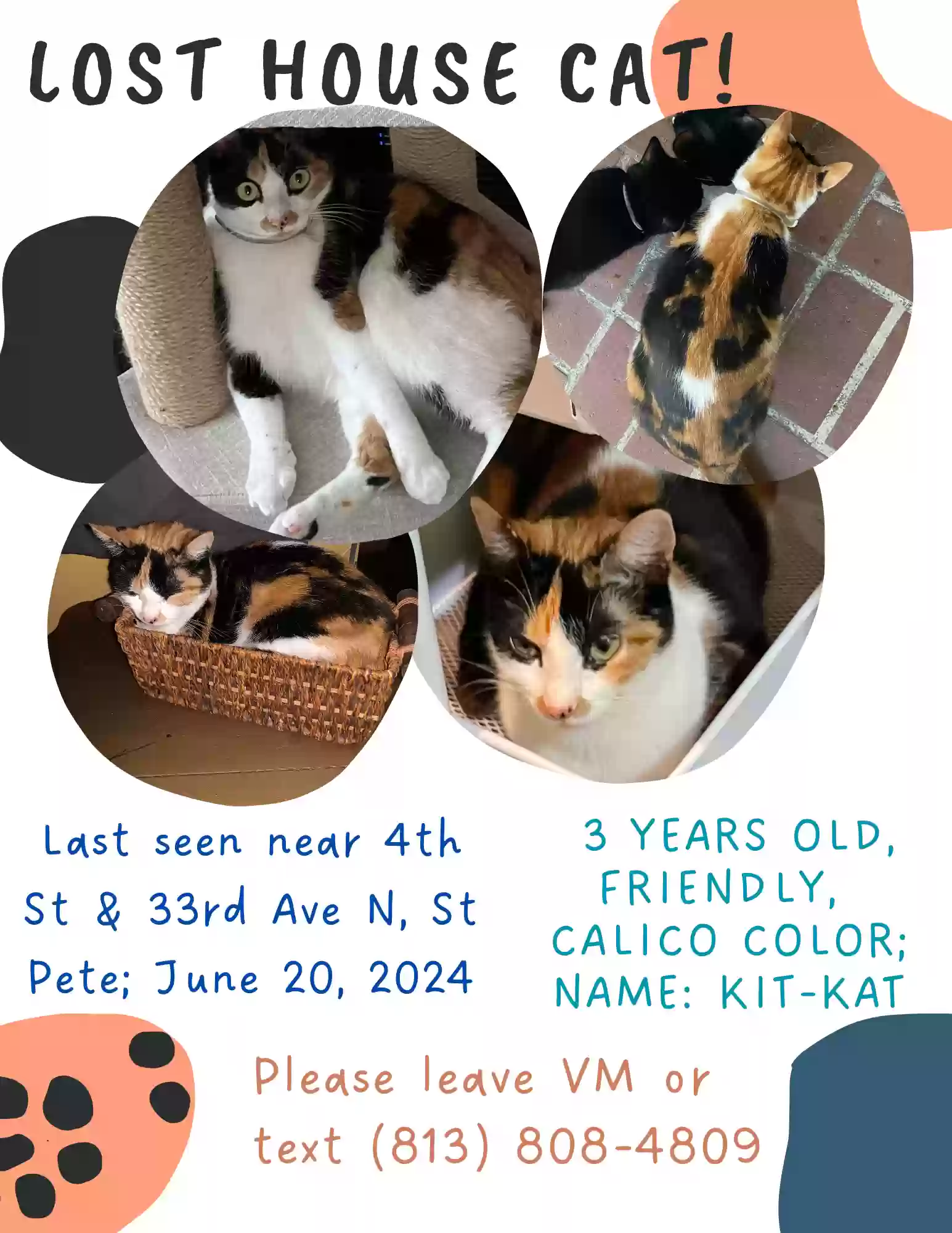 /lostandfound/images/lnfpets/original/177429_photo.webp