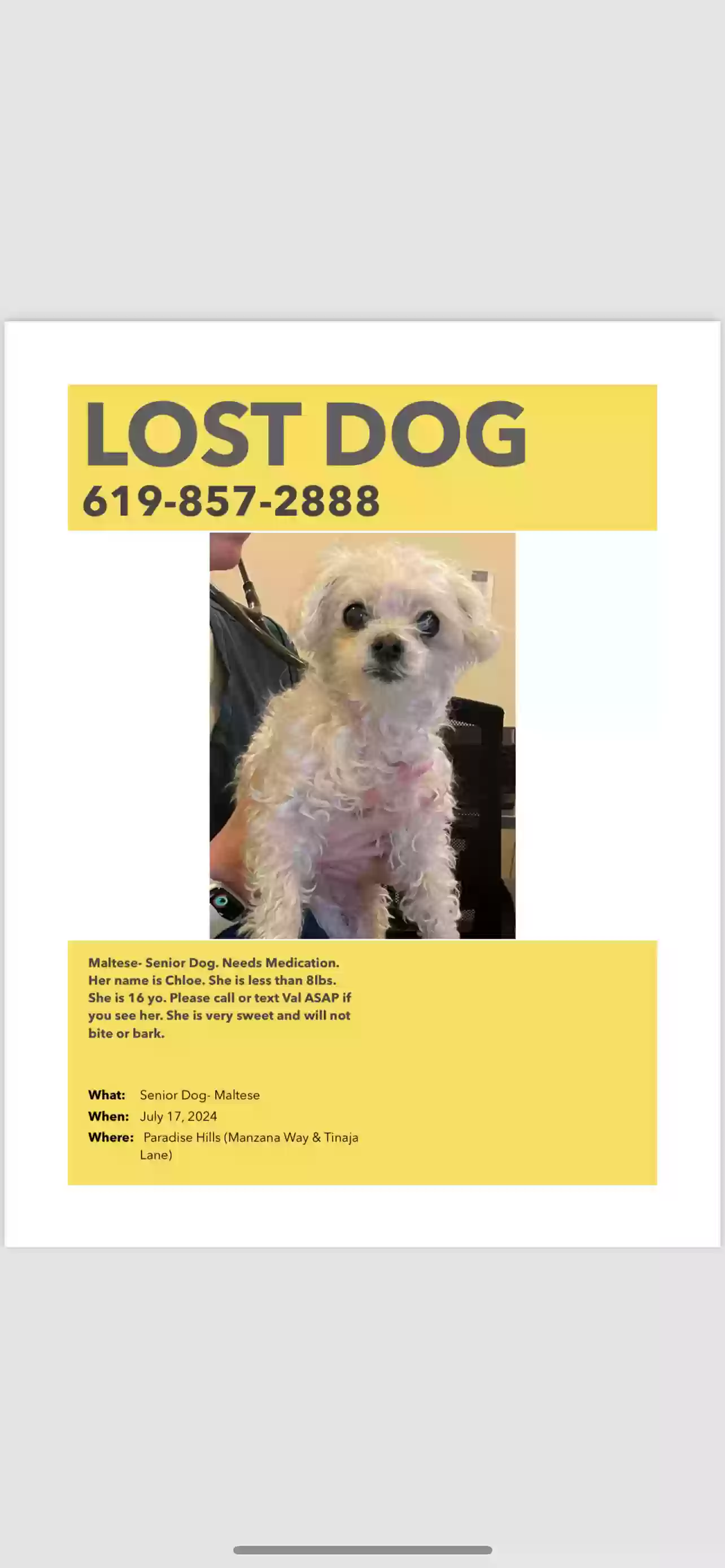 /lostandfound/images/lnfpets/original/177724_photo.webp