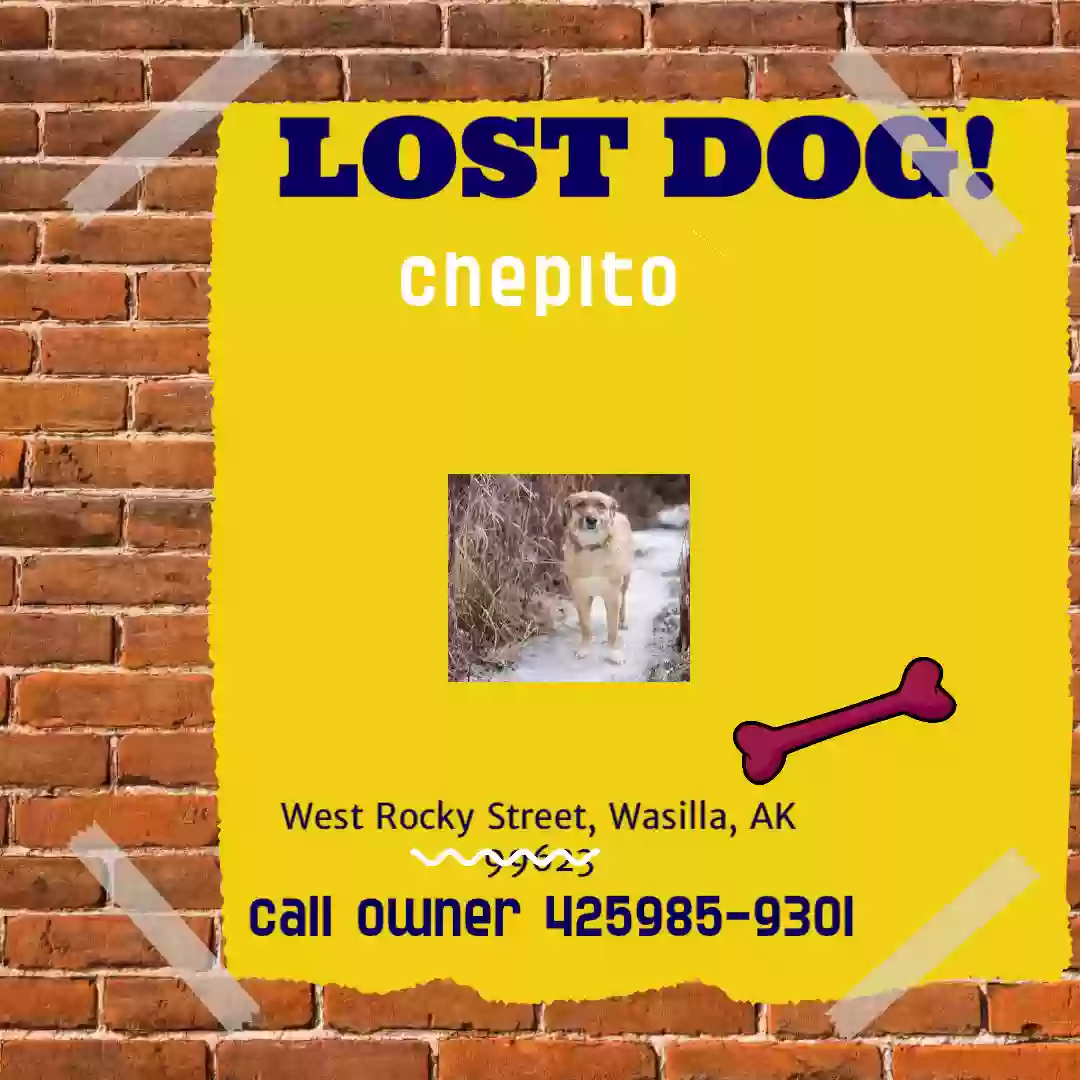 /lostandfound/images/lnfpets/original/178651_photo.webp