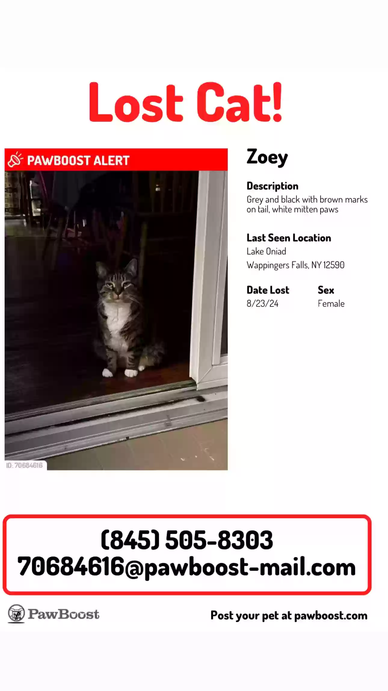 /lostandfound/images/lnfpets/original/178715_photo.webp
