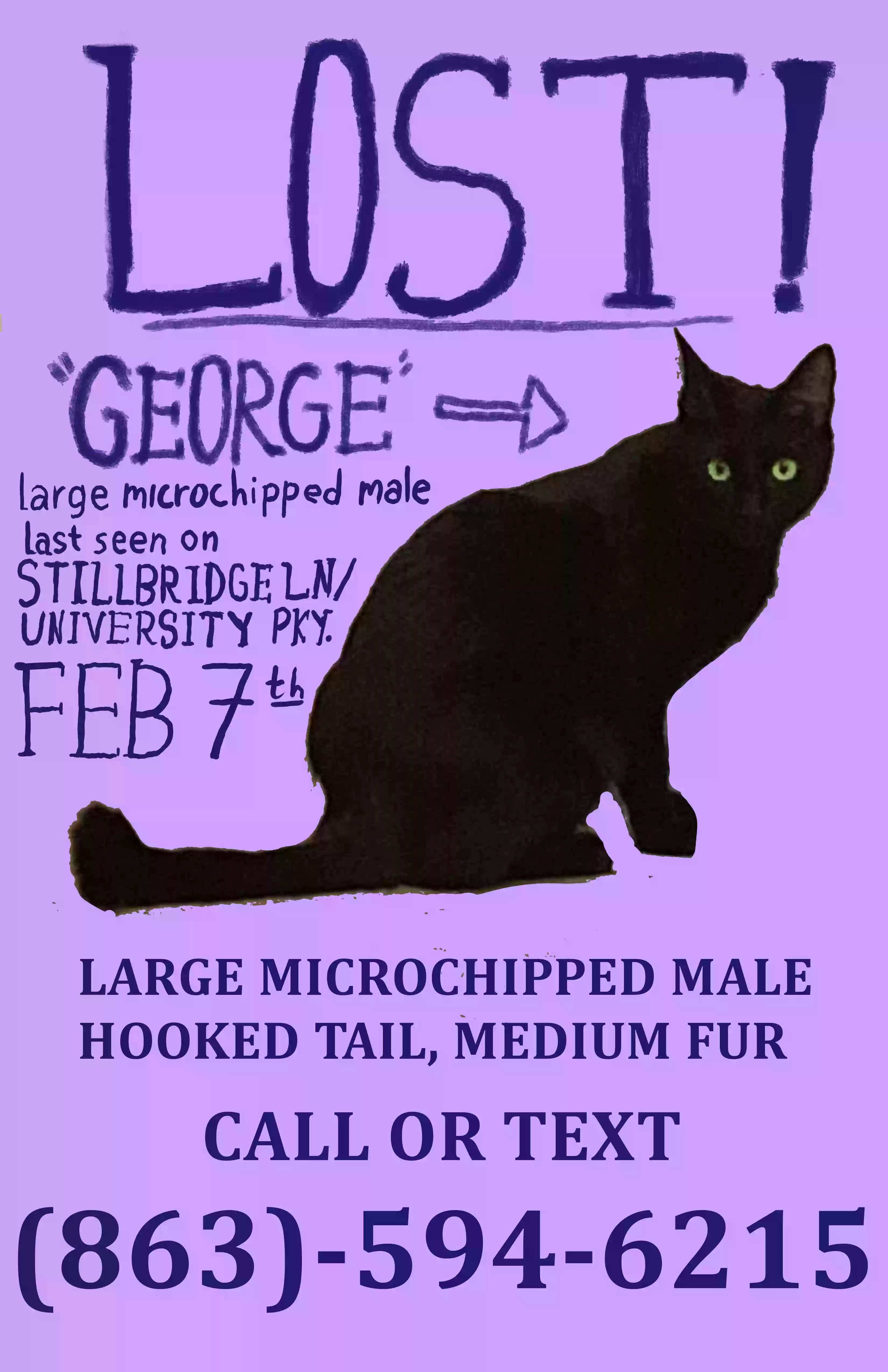 /lostandfound/images/lnfpets/original/179095_photo.webp