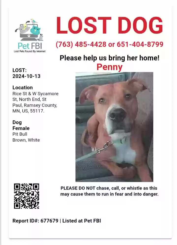 /lostandfound/images/lnfpets/original/180234_photo.webp