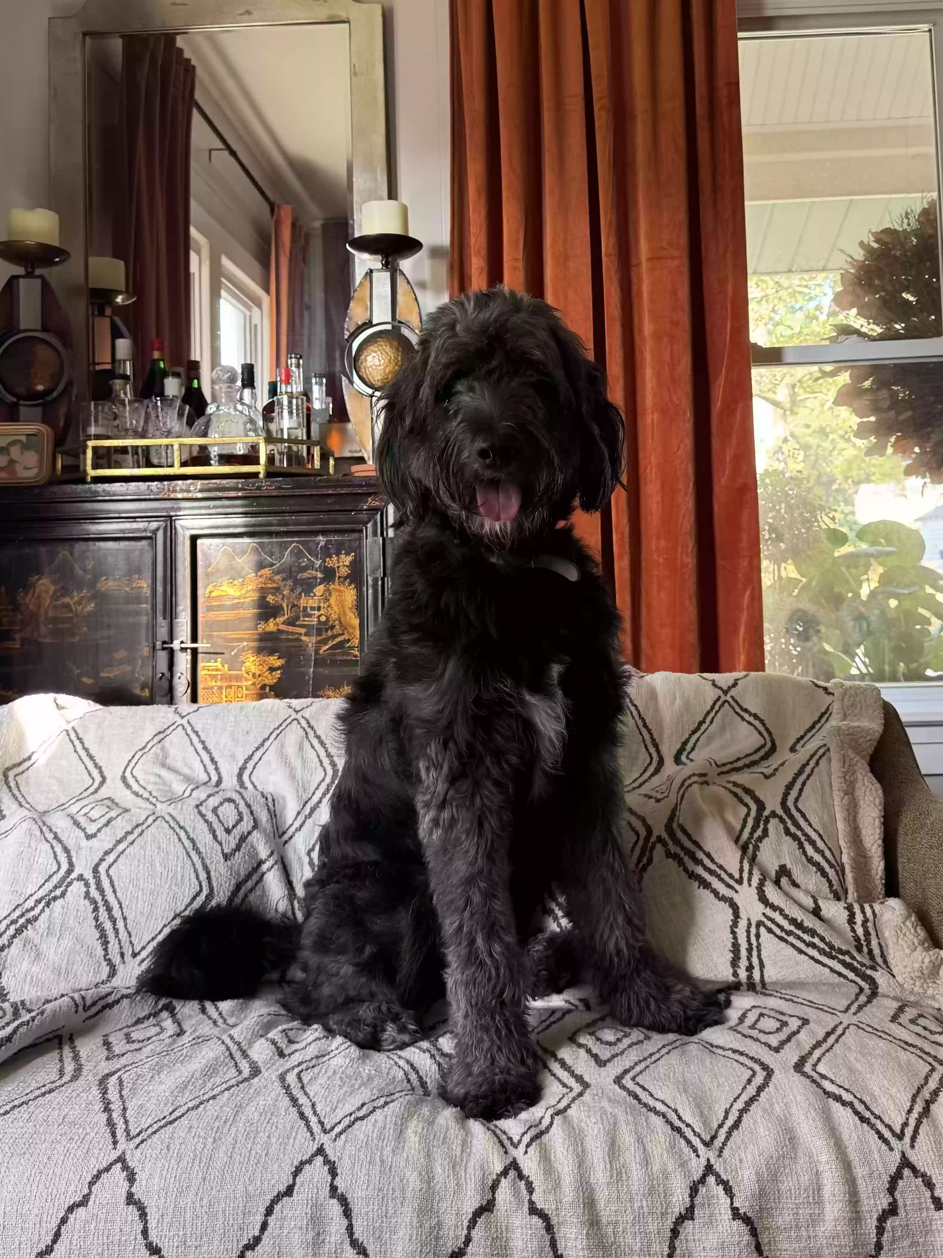 /lostandfound/images/lnfpets/original/180346_photo.webp