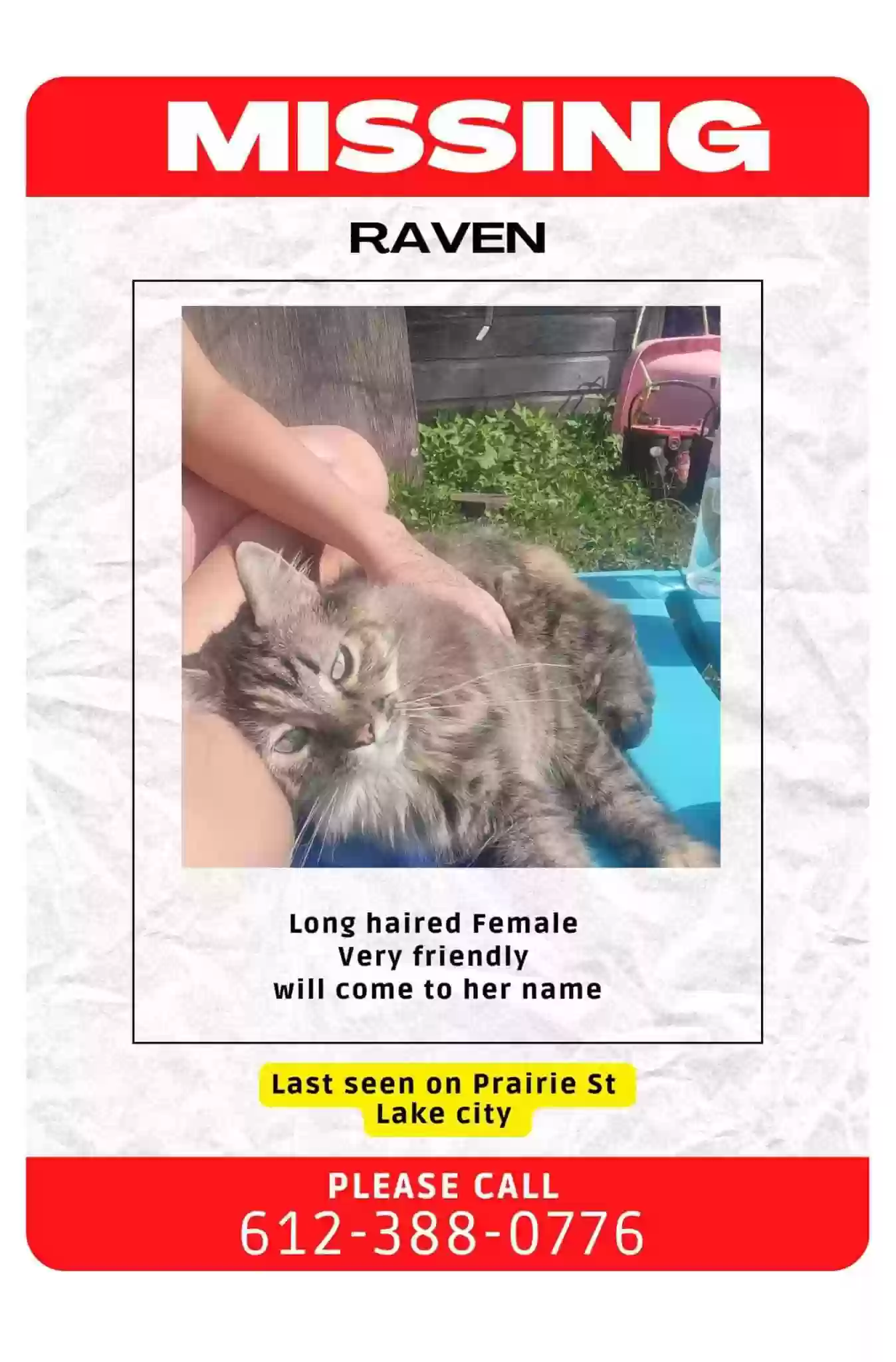 /lostandfound/images/lnfpets/original/180455_photo.webp