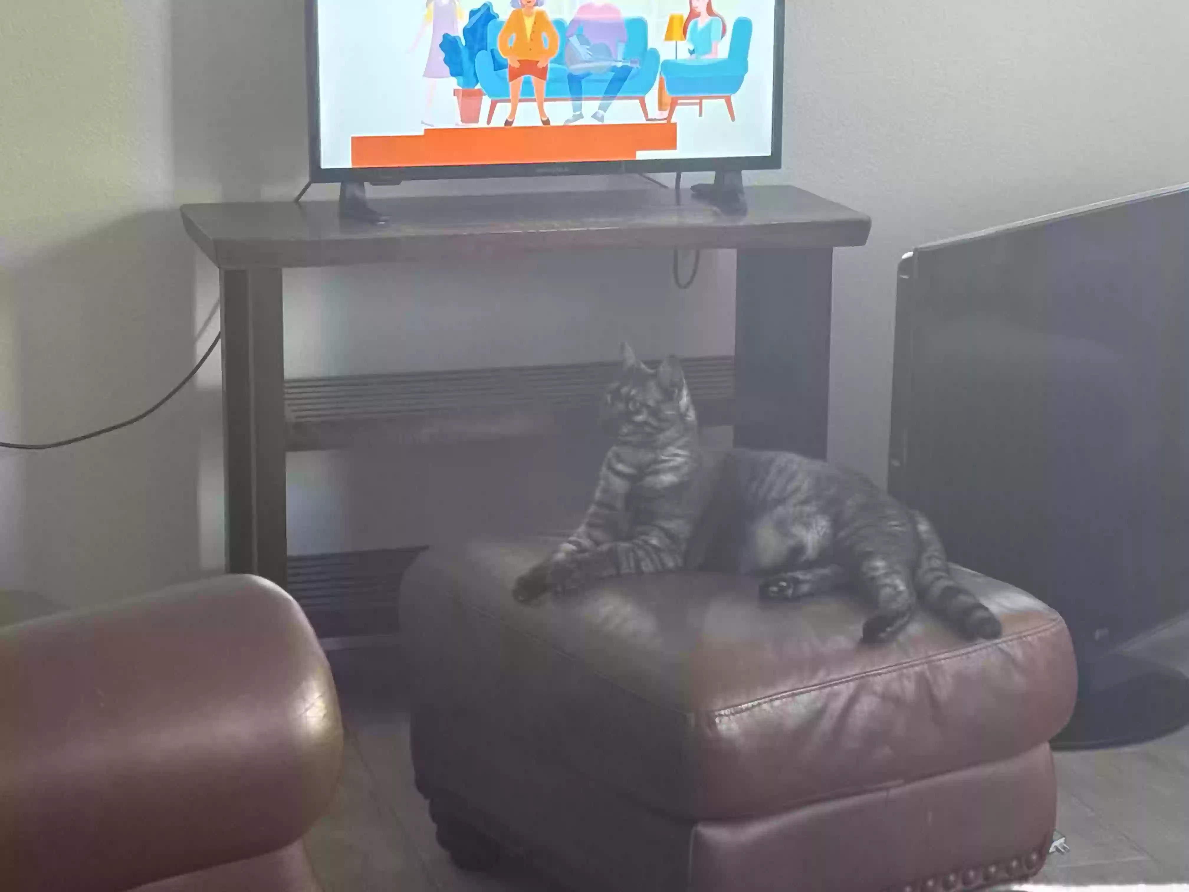 /lostandfound/images/lnfpets/original/181039_photo.webp