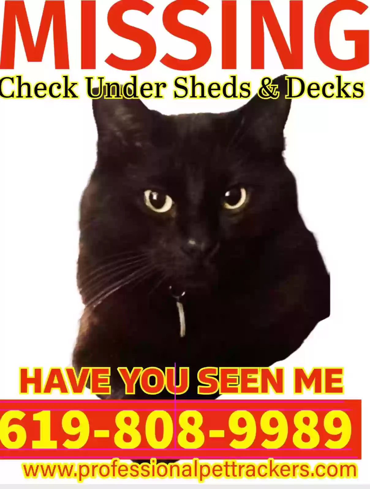 /lostandfound/images/lnfpets/original/182365_photo.webp