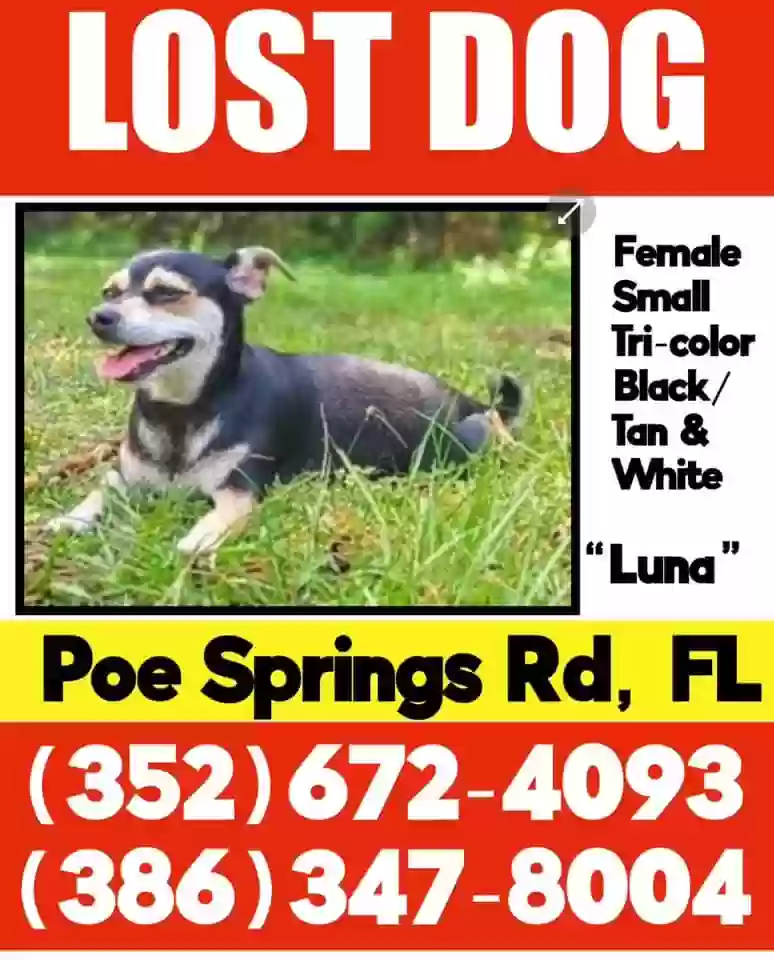 /lostandfound/images/lnfpets/original/182588_photo.webp