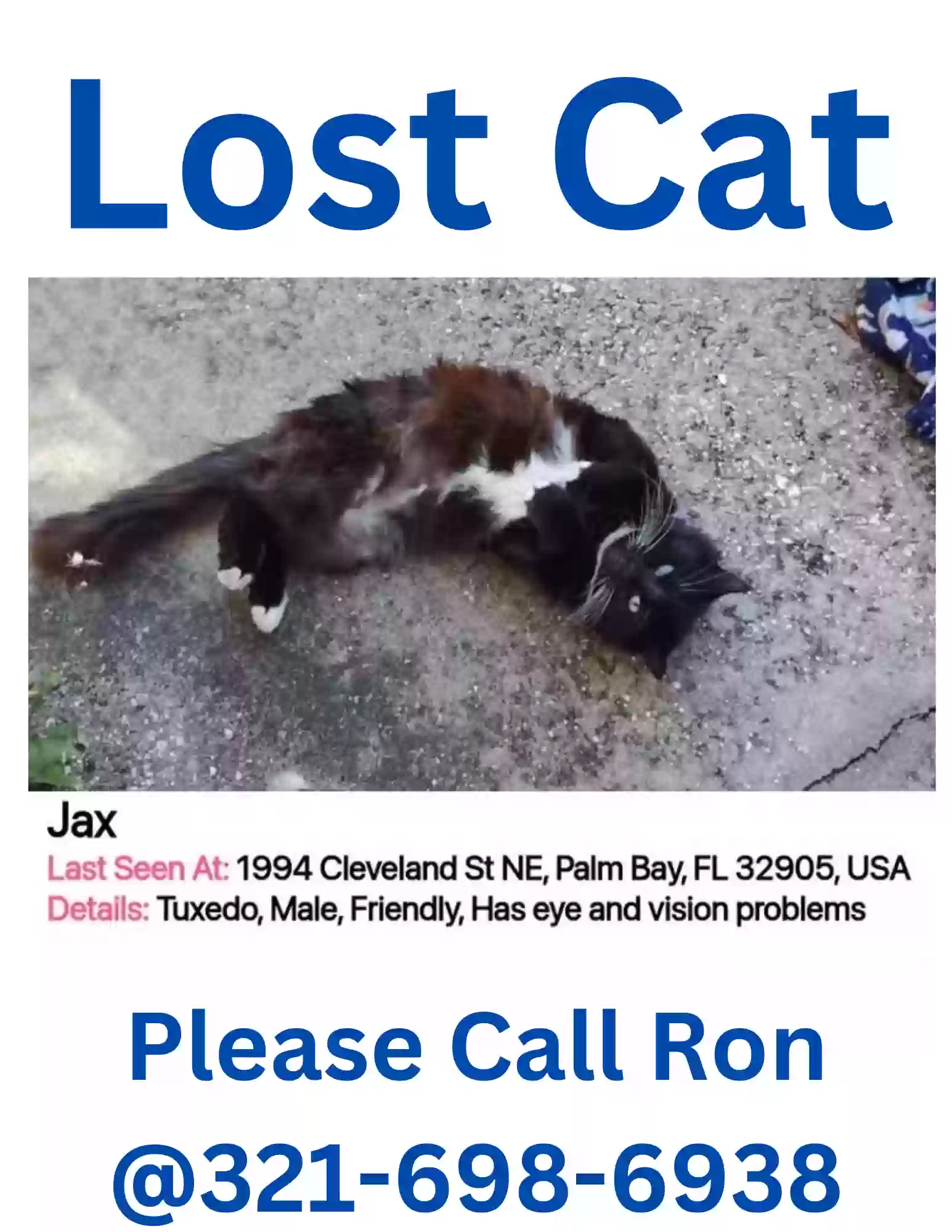 /lostandfound/images/lnfpets/original/182673_photo.webp