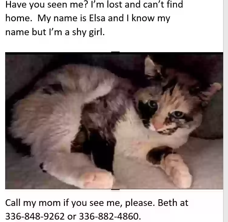 /lostandfound/images/lnfpets/original/182848_7509_474746979_10231986669842619_1021003474324785045_n.webp
