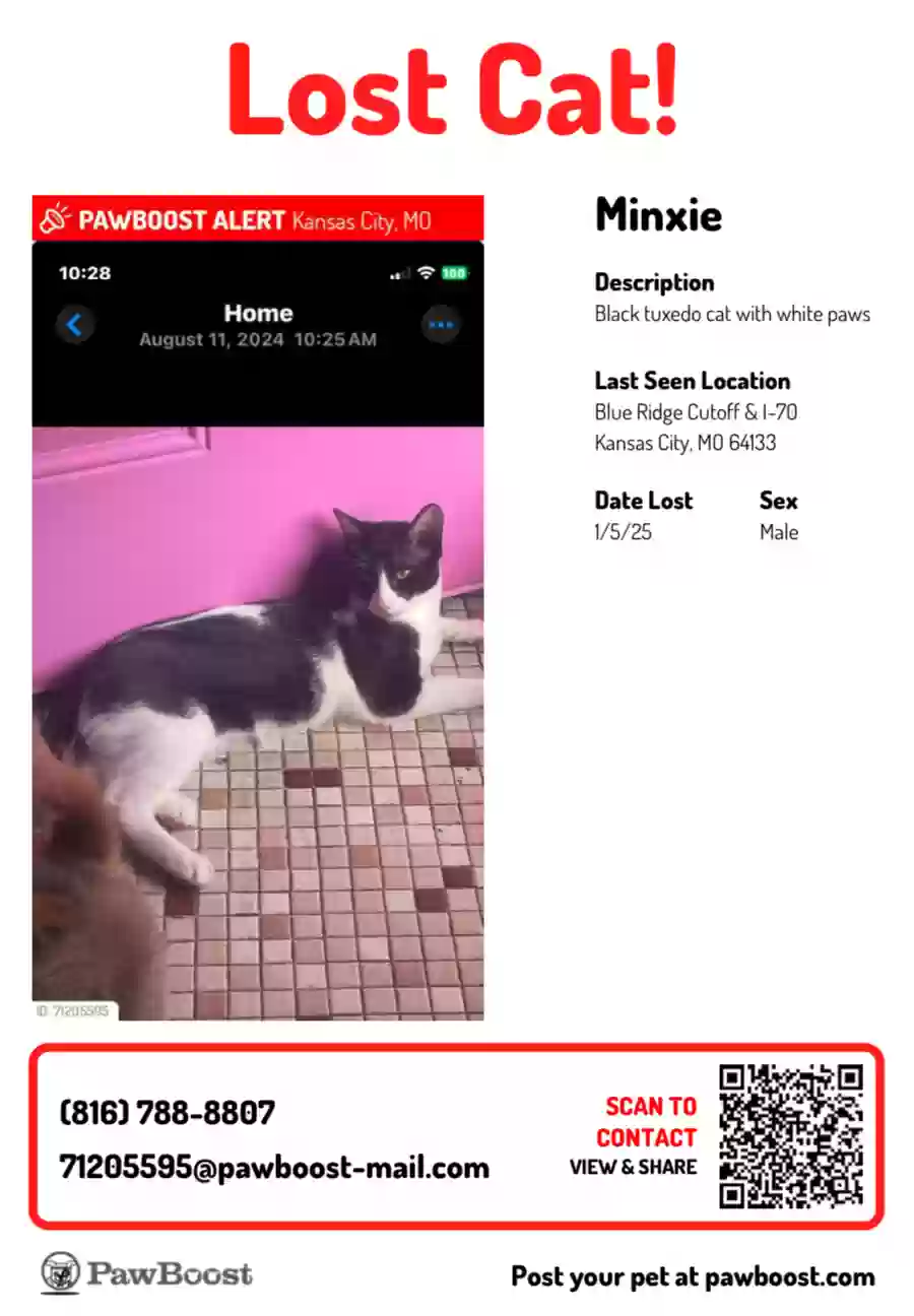 /lostandfound/images/lnfpets/original/182865_photo.webp