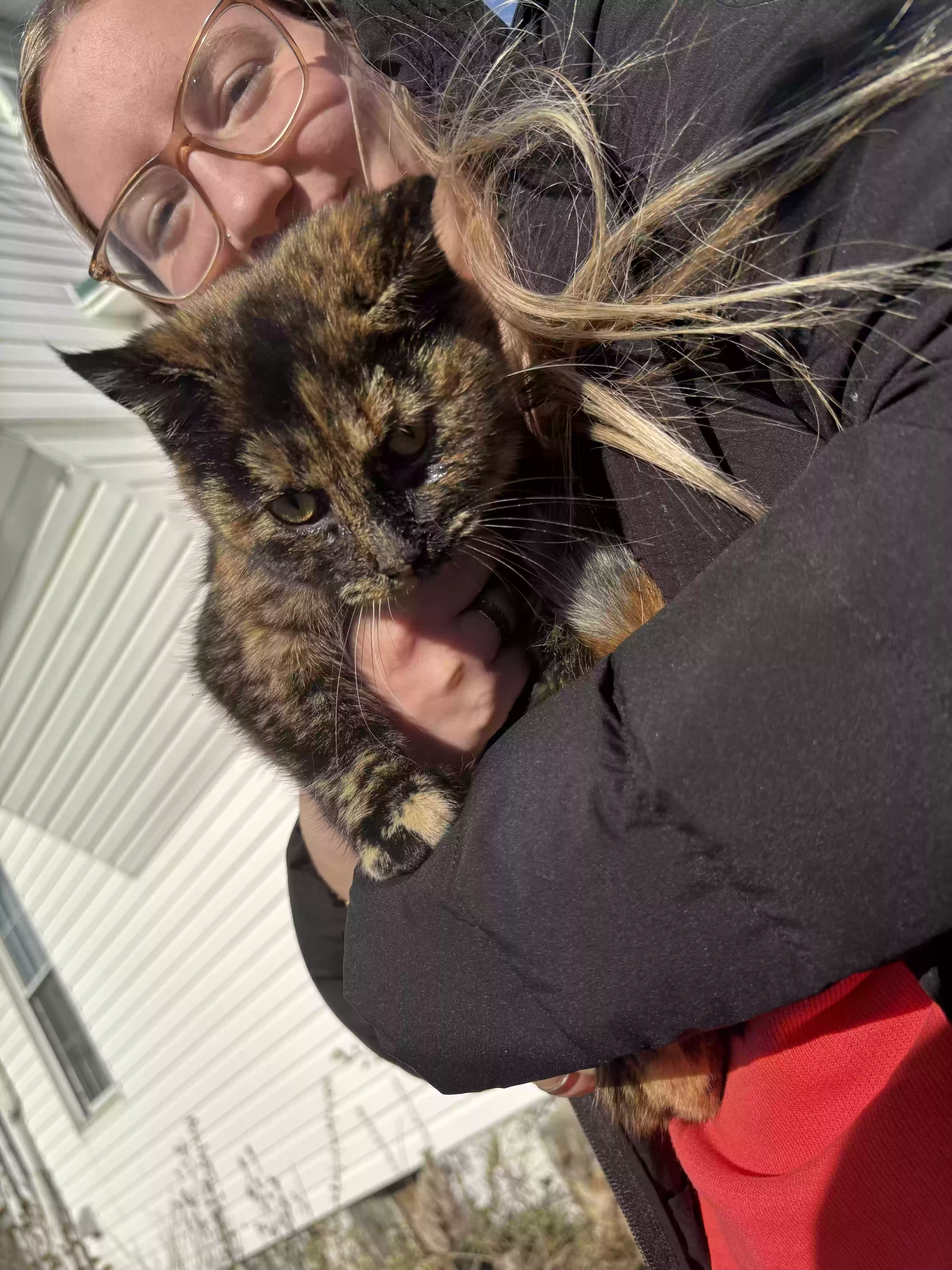 /lostandfound/images/lnfpets/original/183110_photo.webp