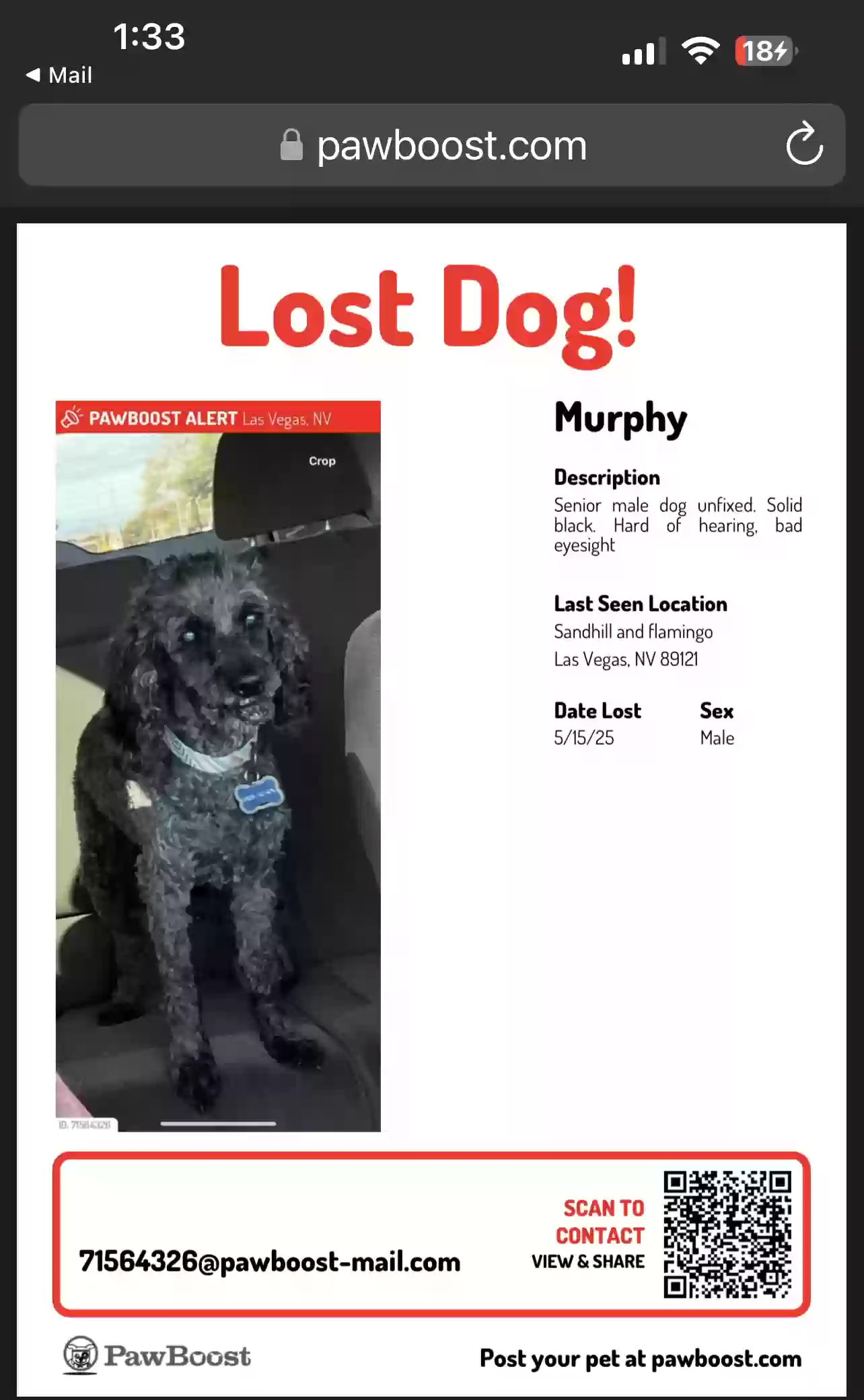 /lostandfound/images/lnfpets/original/185704_photo.webp