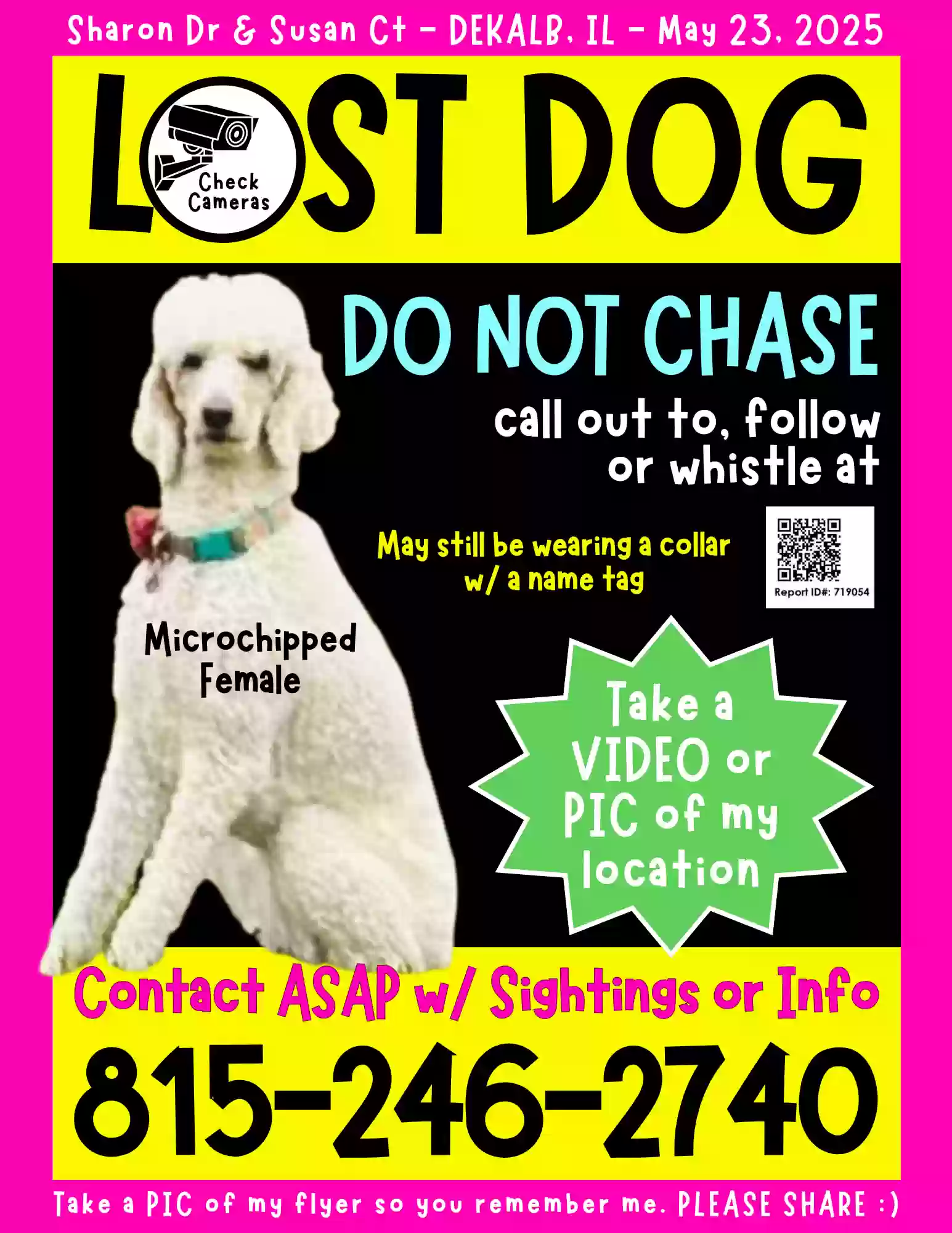 /lostandfound/images/lnfpets/original/185979_photo.webp