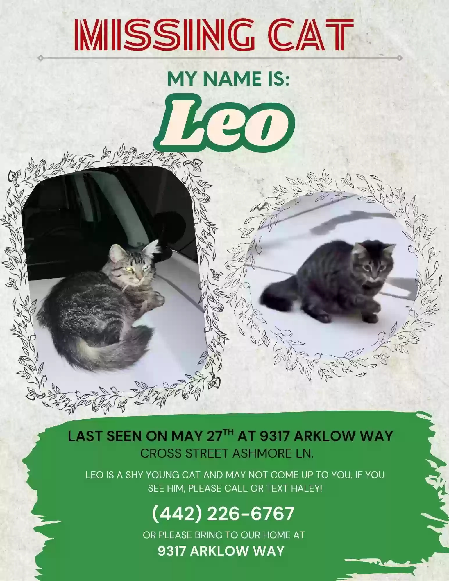 /lostandfound/images/lnfpets/original/186299_photo.webp