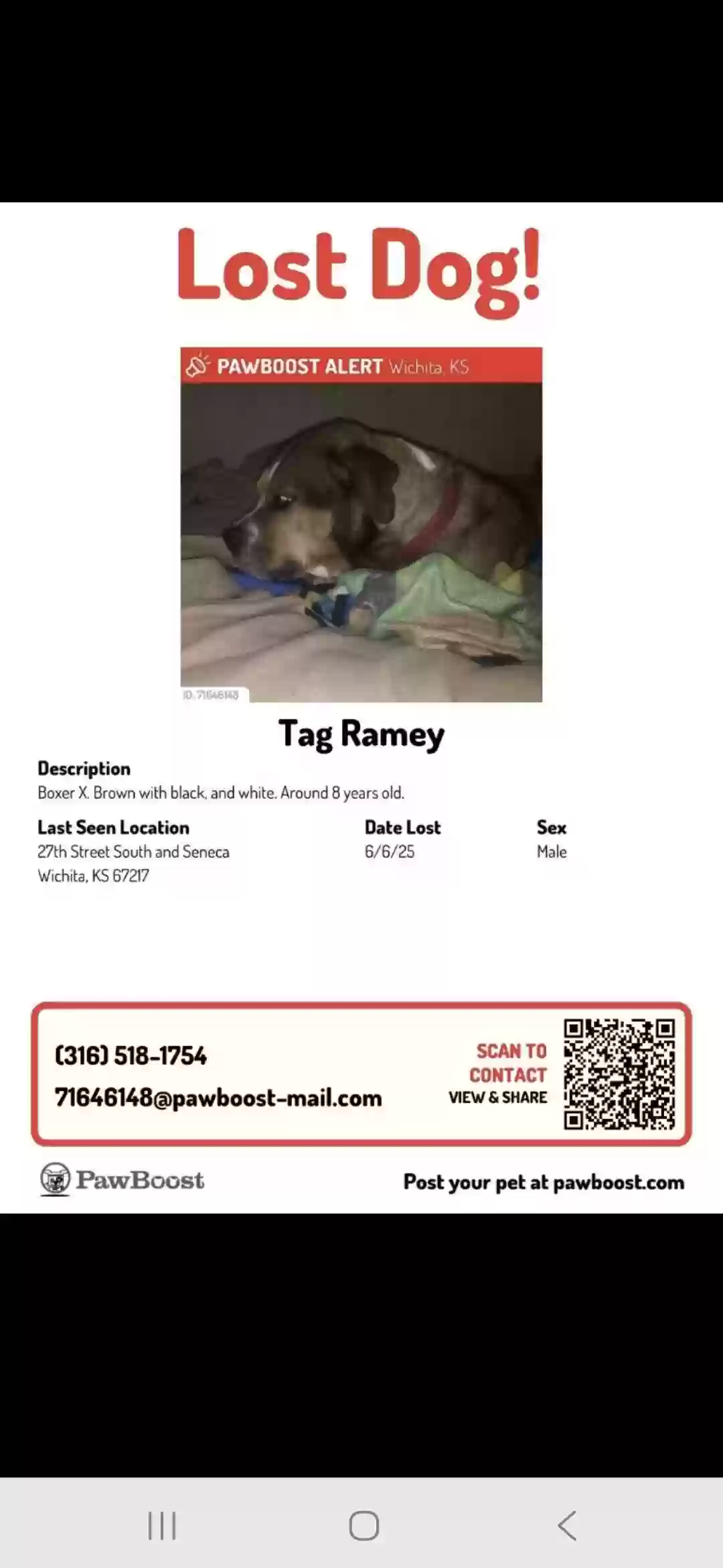 /lostandfound/images/lnfpets/original/186372_photo.webp