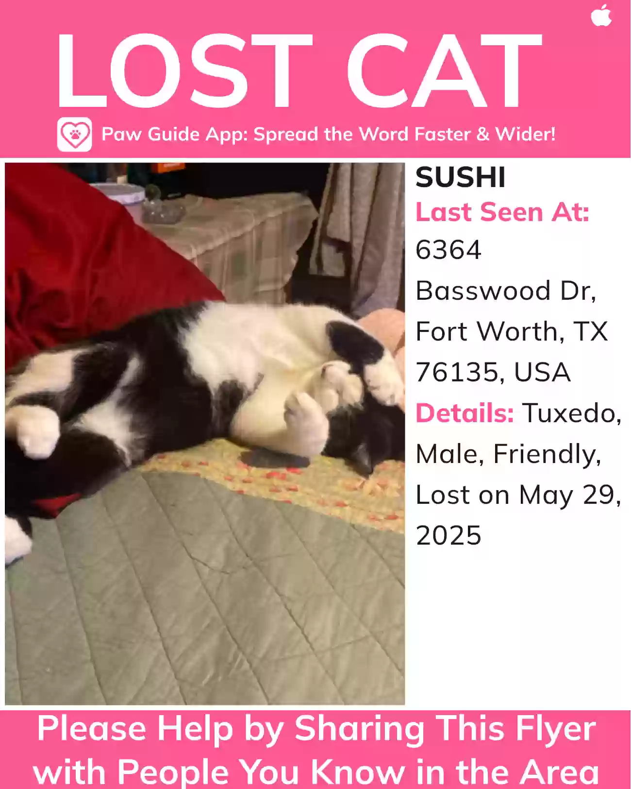 /lostandfound/images/lnfpets/original/186404_photo.webp