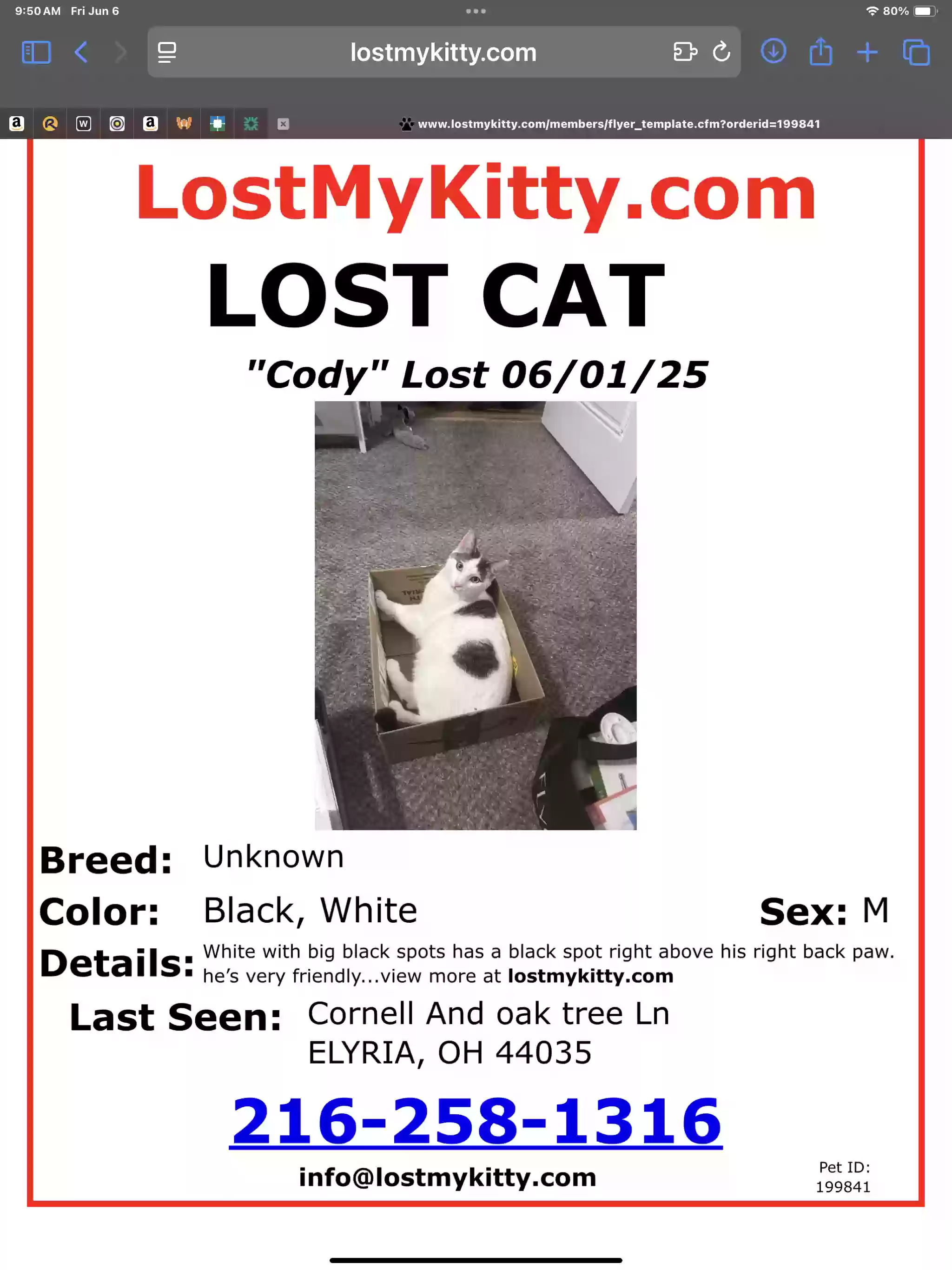 /lostandfound/images/lnfpets/original/186726_photo.webp