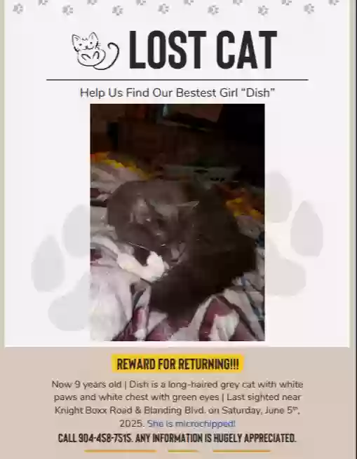 /lostandfound/images/lnfpets/original/187065_photo.webp