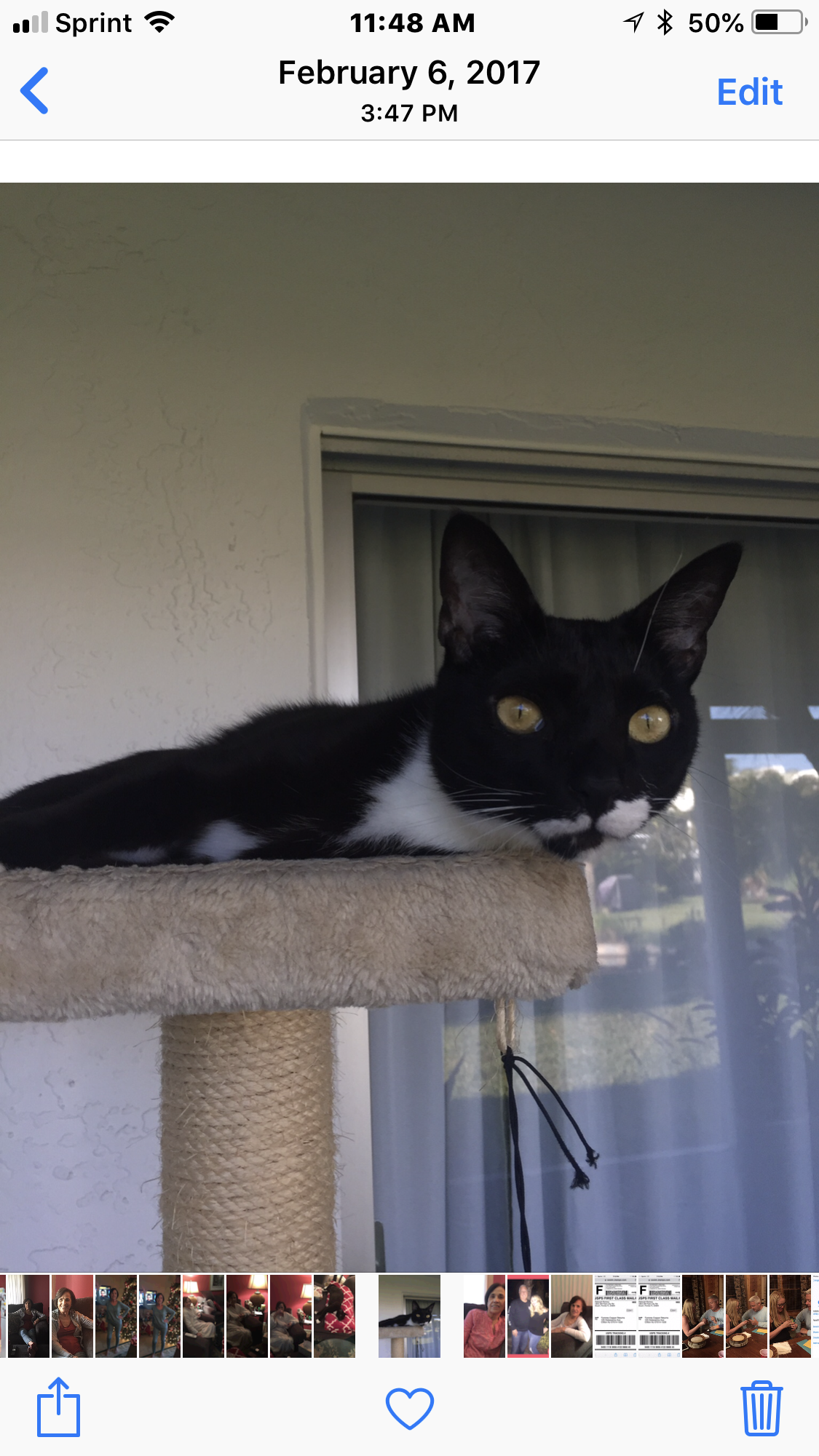 /lostandfound/images/lnfpets/original/22222_thumb_one.png