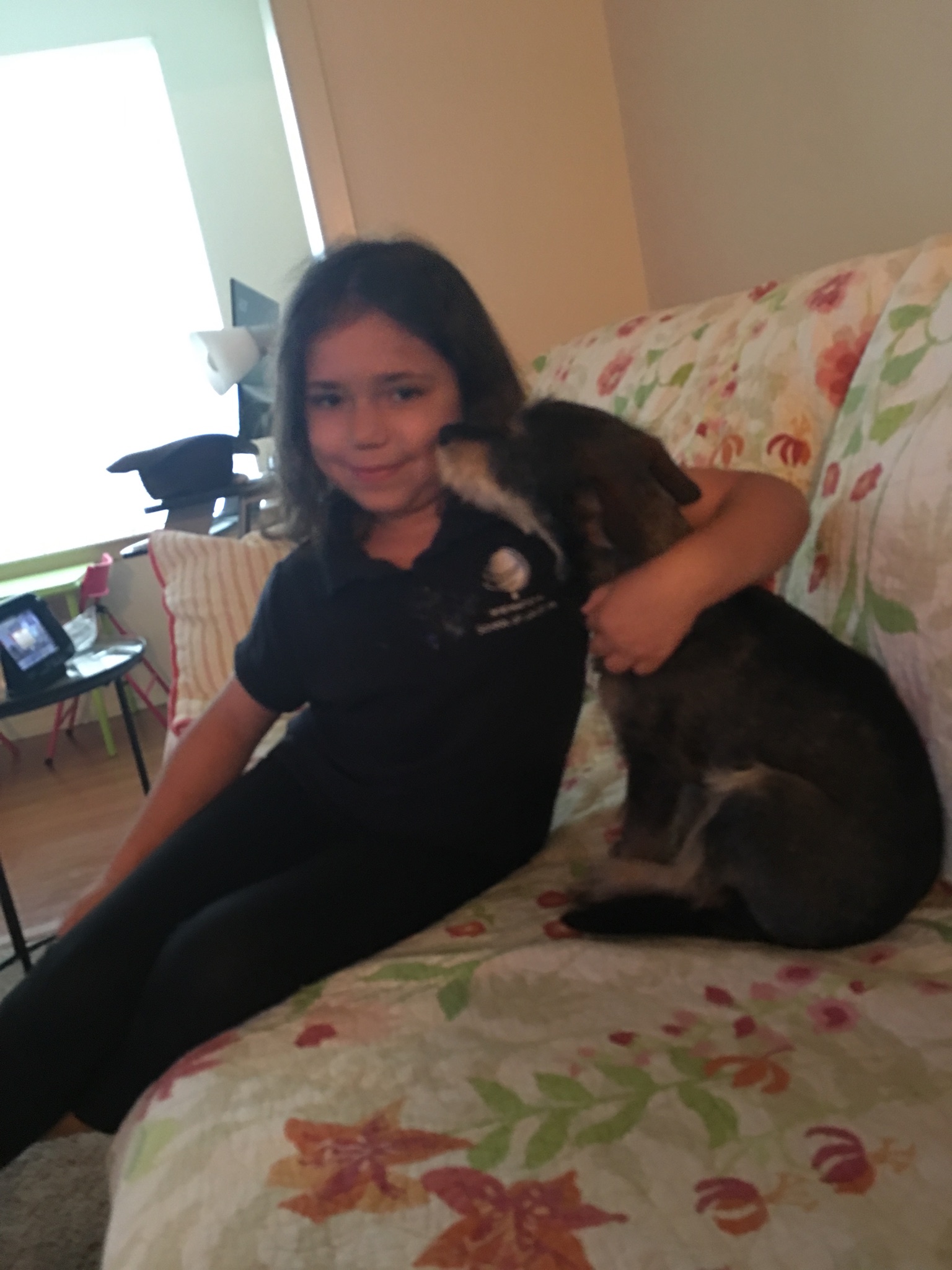 /lostandfound/images/lnfpets/original/25682_32057_7E961580-7665-4CFA-A1DD-B4F2FD745493.jpeg
