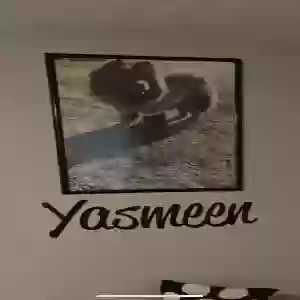 lost female dog yasmeen