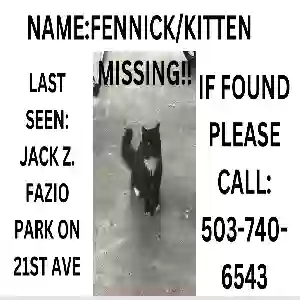 lost female cat fennick/kitten