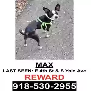 lost male dog max
