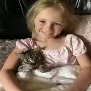 lost female cat binx
