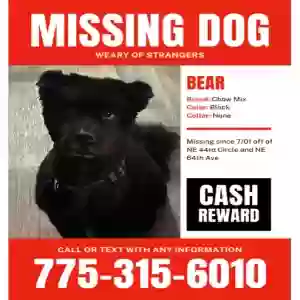 lost male dog bear