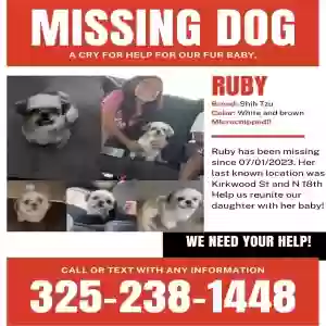 lost female dog ruby