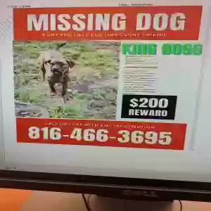 lost male dog unknown