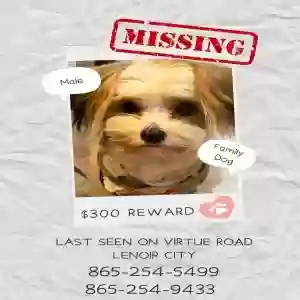 lost male dog milo