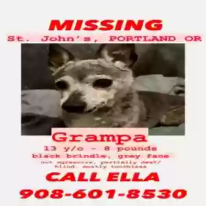 lost male dog grampa