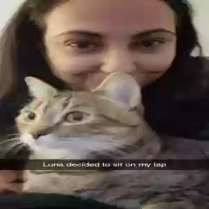 lost female cat luna