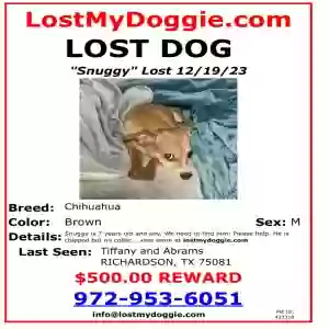 lost male dog snuggy