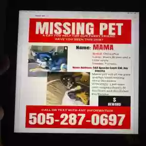 lost female dog mama