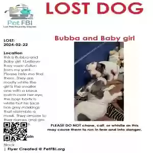 lost unknown dog bubba and baby girl