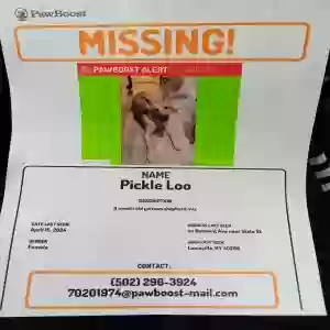 lost female dog pickle loo