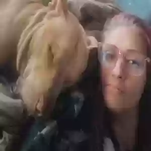 lost male dog churro