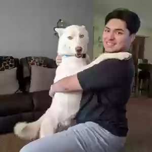 lost male dog el conde