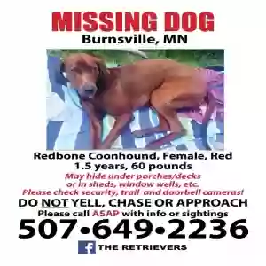 lost female dog dixie