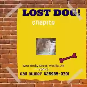 found male dog chepito