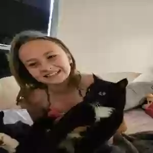 lost male cat bandit