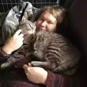 lost male cat athens